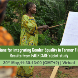 UN-FAO, CARE to present results of Gender Integration in Farmer Field Schools study